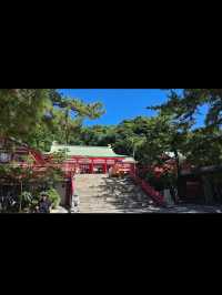 ⛩️赤間神宮｜竜宮城のような幻想的な神社で歴史と美を感じる旅