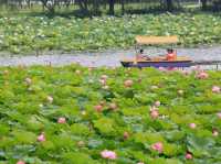 “Lotus Shade Sanctuary of Bishagang”
