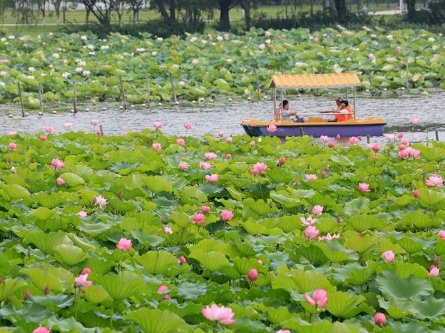 “Lotus Shade Sanctuary of Bishagang”