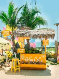 More Than Beach & Cafe 🦆🏝️