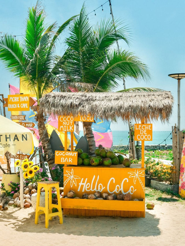 More Than Beach & Cafe 🦆🏝️