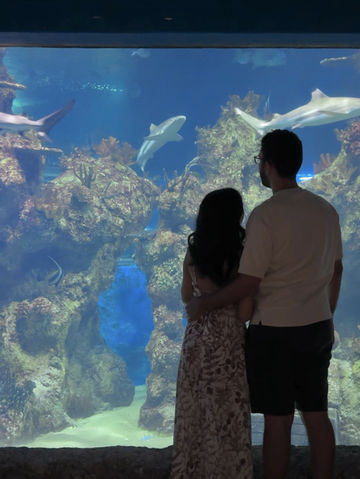 🌊 바다를 품은 시간, 몰타 국립 아쿠아리움 🐠