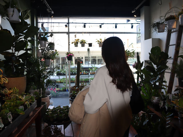🌿 Wandering Fitzroy: A Solo Stroll Through Melbourne’s Coolest Corner 🎨✨