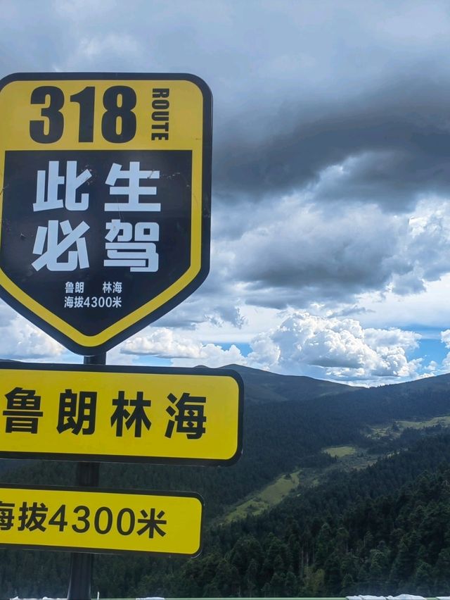 美丽的风景