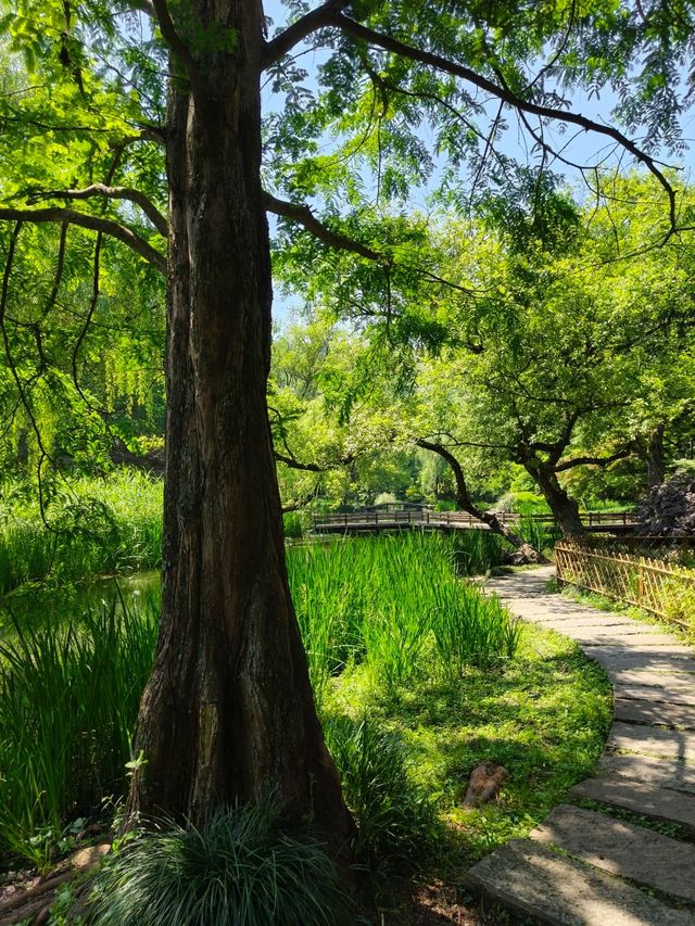 東灘濕地公園—綠化生境 東灘濕地公園—綠化生境