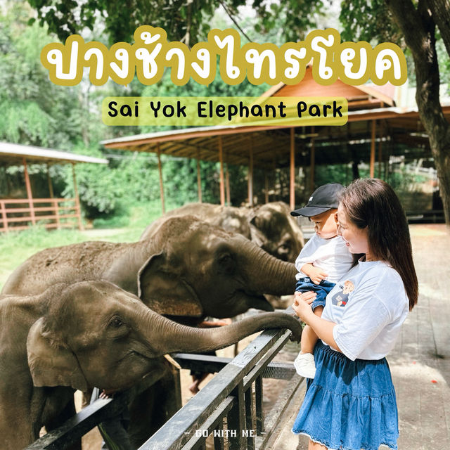 ป้อนอาหารช้าง ปางช้างไทรโยค จังหวัดกาญจนบุรี 🐘