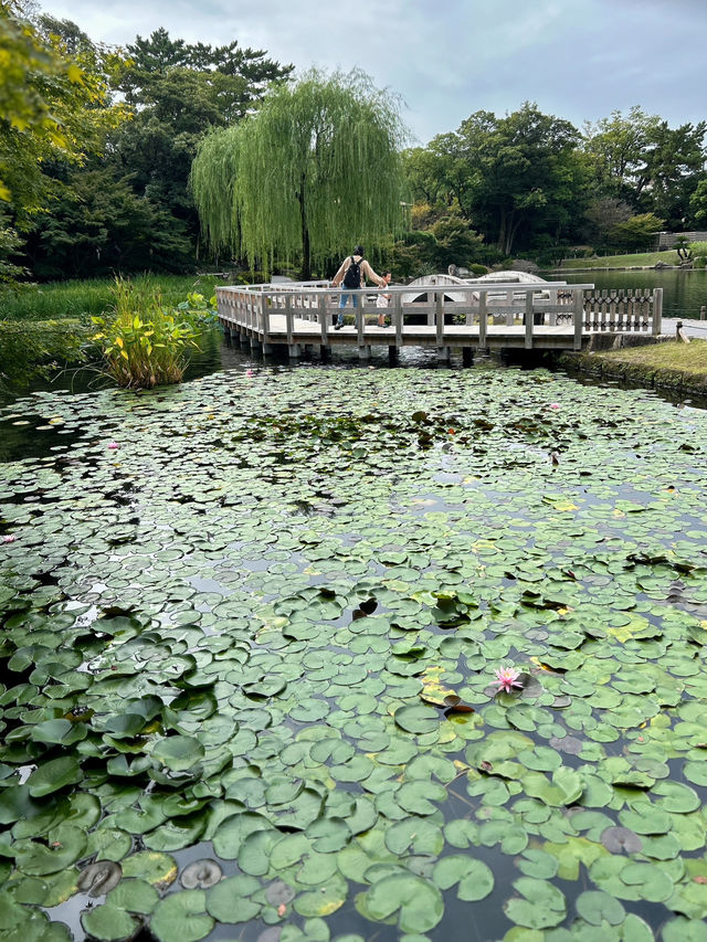 🇯🇵日本✈️名古屋池泉式庭園德川園