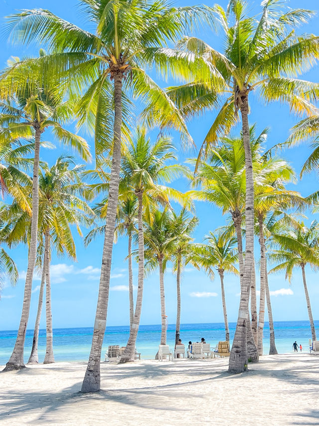 휴양지 감성을 이렇게 제대로 느낀 건 처음