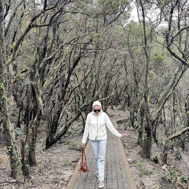 Mist and Magic: Kawah Putih’s Ethereal Embrace