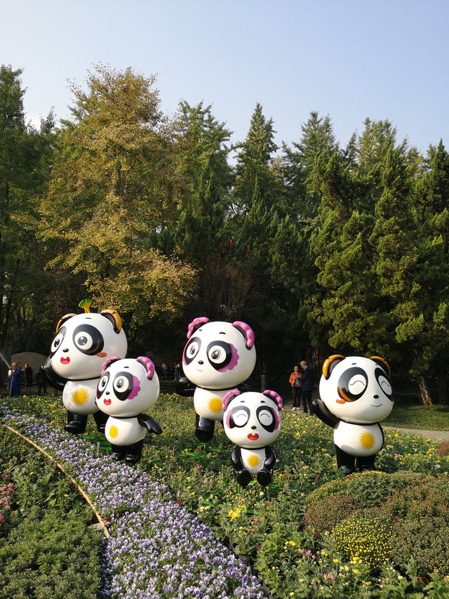 🌳 People’s Park Chengdu: A Historic Heartbeat of Sichuan