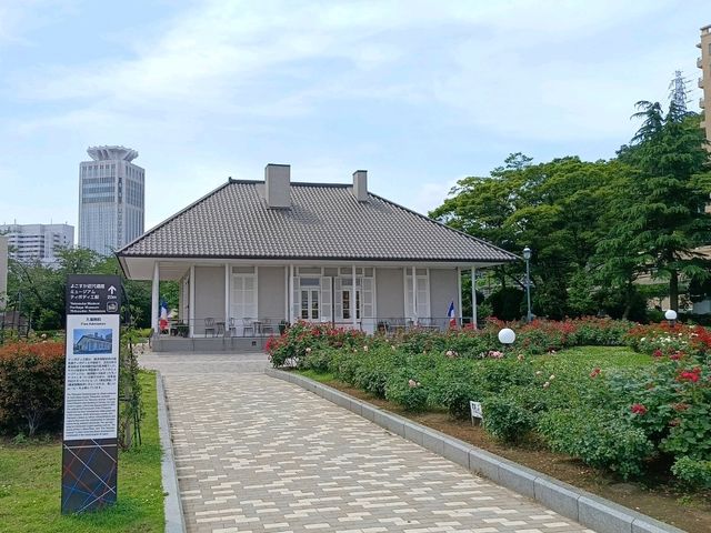 橫須賀軍港巡遊