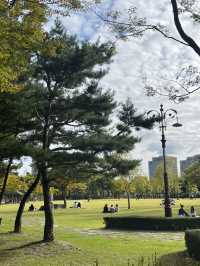 대전에서 사계절을 느끼는 힐링 스팟 🌳 한밭수목원
