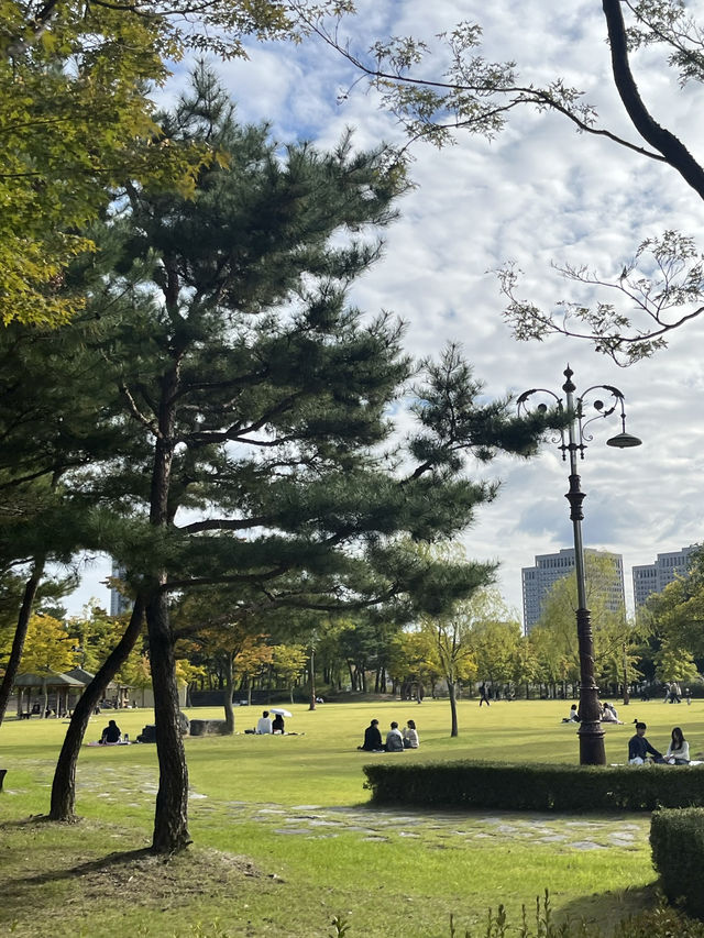 대전에서 사계절을 느끼는 힐링 스팟 🌳 한밭수목원