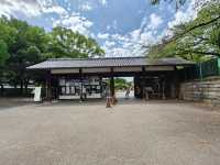 【日本城巡り】金のシャチホコ✨名古屋城