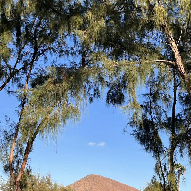 Tenerife – The Island of Eternal Spring Tenerife – The Island of Eternal Spring