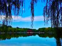 Xiuhu Park: The Heart of Yiwu’s City Life