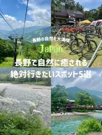 【長野の自然に癒され旅🌿】長野で絶対行きたい場所