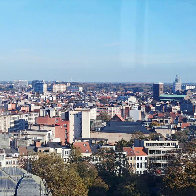 Diamonds & Dutch Masters: My Solo Trip to Antwerp