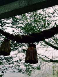 宇奈月神社：靈氣與雨水的聖地 ⛩️🌧️