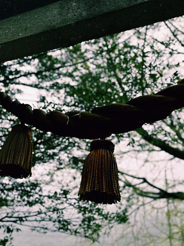 宇奈月神社：靈氣與雨水的聖地 ⛩️🌧️
