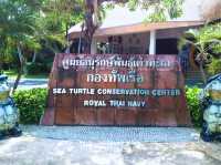 ศูนย์อนุรักษ์พันธุ์เต่าทะเล กองทัพเรือ สัตหีบ
