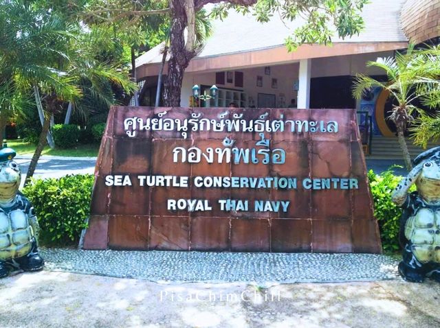 ศูนย์อนุรักษ์พันธุ์เต่าทะเล กองทัพเรือ สัตหีบ