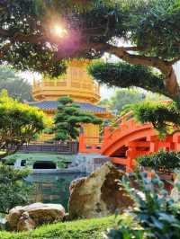 香港禪意半日遊！志蓮淨苑+南蓮園池🏡嘆一陣靜謐禪意😂