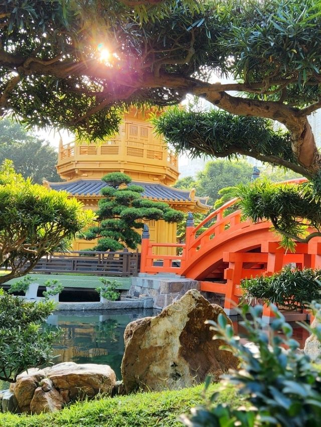 香港禪意半日遊！志蓮淨苑+南蓮園池🏡嘆一陣靜謐禪意😂
