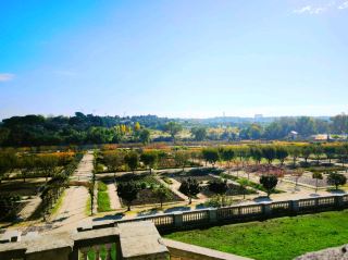 Royal Garden Stroll Recommendation