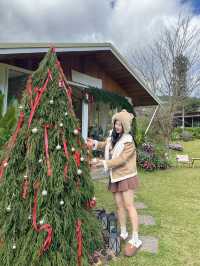 22 AQUARIUS Glamping Cafe