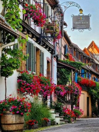 The Enthralling Spiral of Eguisheim: A Fairytale Village ✨