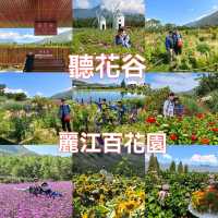 親子遊好去處！靚爆花海🌻聽花谷-麗江百花園