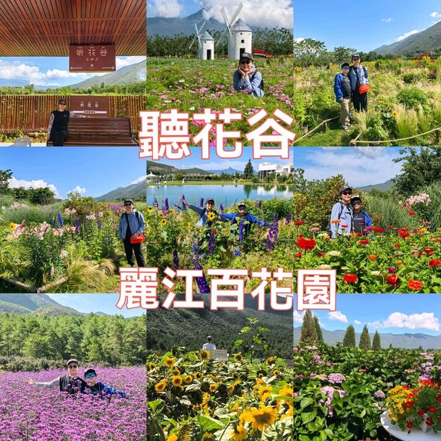 親子遊好去處！靚爆花海🌻聽花谷-麗江百花園