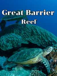GreatBarrierReef