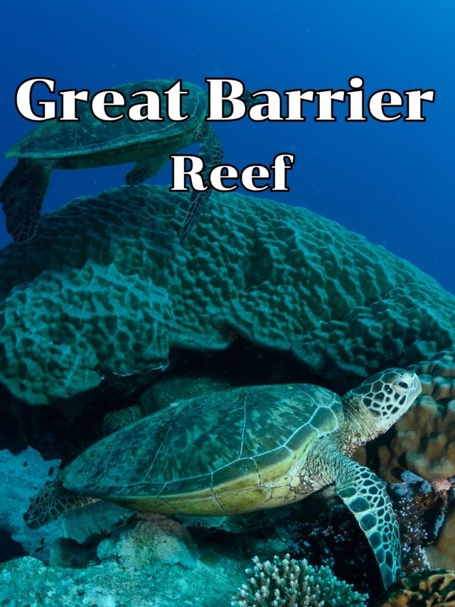 GreatBarrierReef