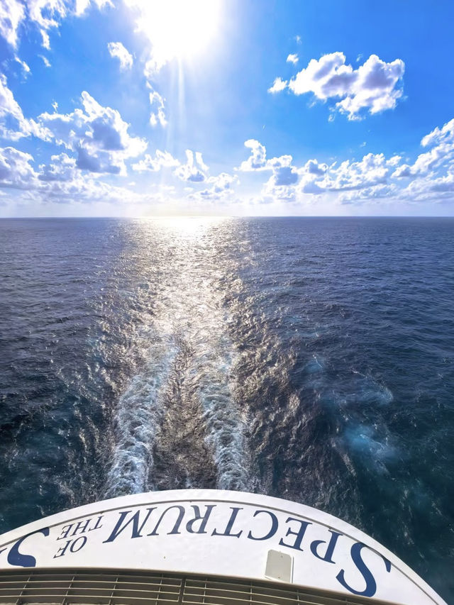 海洋光譜號·藍到發光的海上旅程 🌊✨