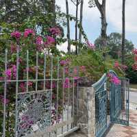 🌳🌸 Taman Botani Perdana – Kuala Lumpur’s Green Escape 🌿✨