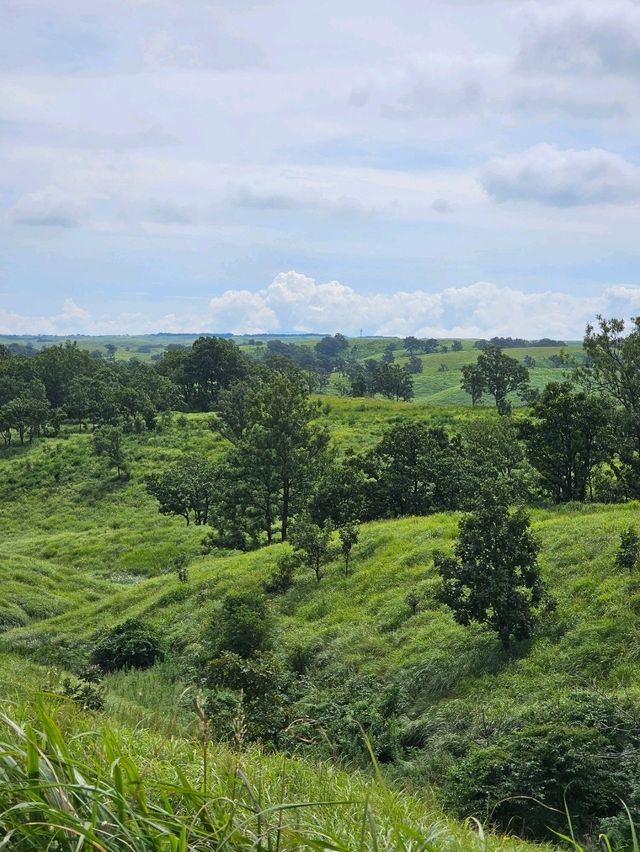 巨石が点在する古代の聖地と称される、阿蘇のパワースポット