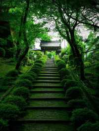 🌿🏯 Reizan-ji Temple – A Green Gem in the Heart of Nara 🌸🌿
