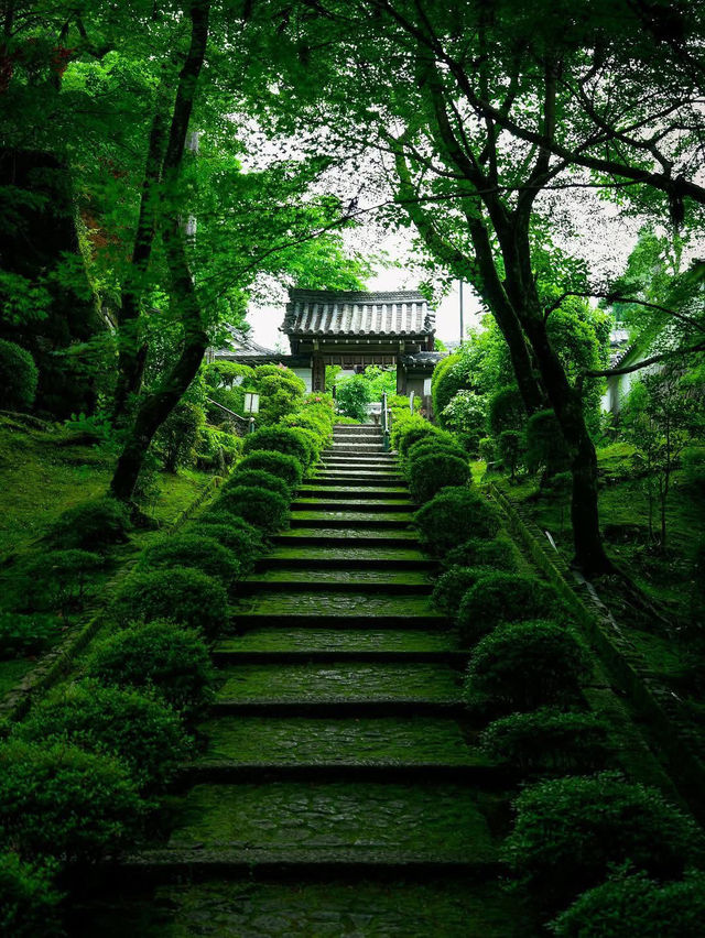 🌿🏯 Reizan-ji Temple – A Green Gem in the Heart of Nara 🌸🌿