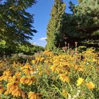 Loki Schmidt Garden Botanical of University Hamburg