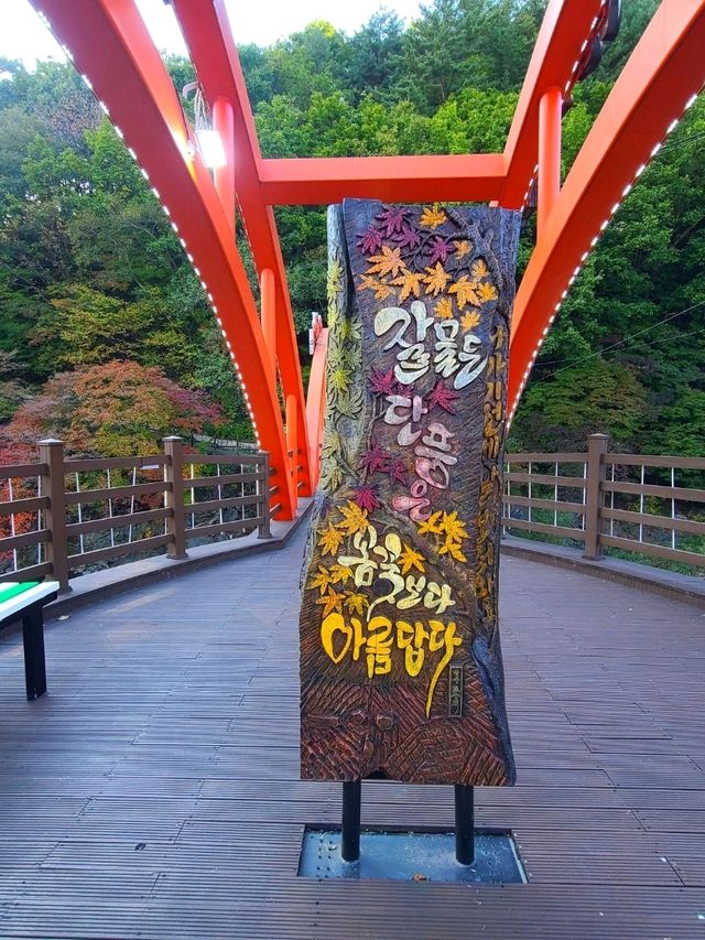 태백 철암🧡단풍숲에 갇힌 행복한 하루