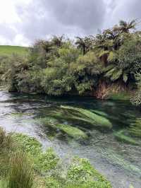 【𝐍𝐞𝐰 𝐙𝐞𝐚𝐥𝐚𝐧𝐝】北島巡り BlueSpring
