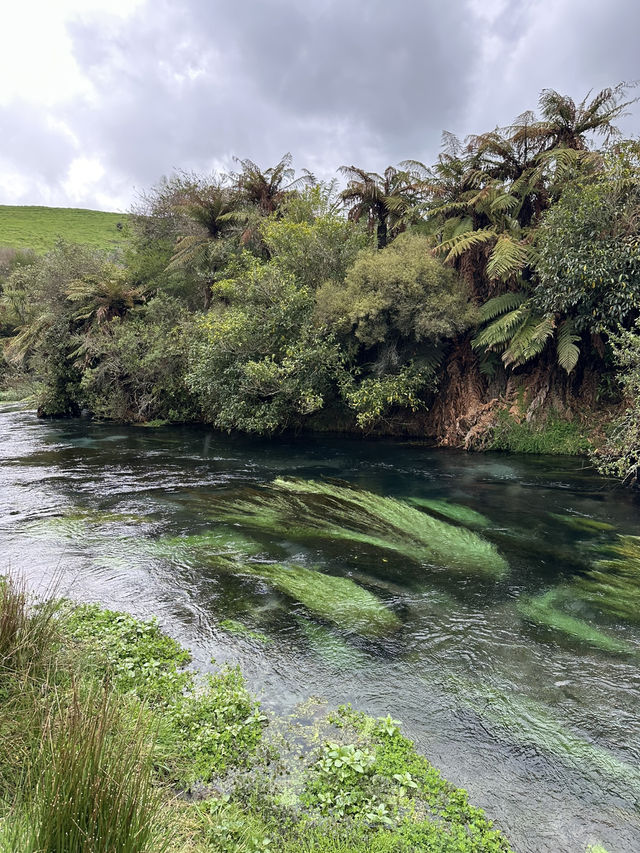 【𝐍𝐞𝐰 𝐙𝐞𝐚𝐥𝐚𝐧𝐝】北島巡り BlueSpring