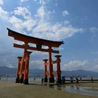 海中島居+海上神社+神之使者一在嚴島神社散策