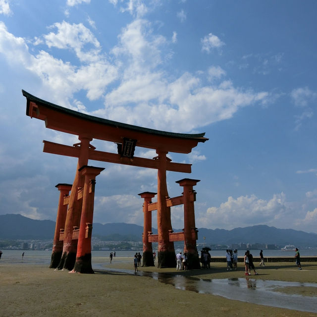 海中島居+海上神社+神之使者一在嚴島神社散策