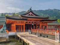 Timeless Miyajima🌊