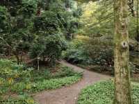 Gothenburg Botanical Garden