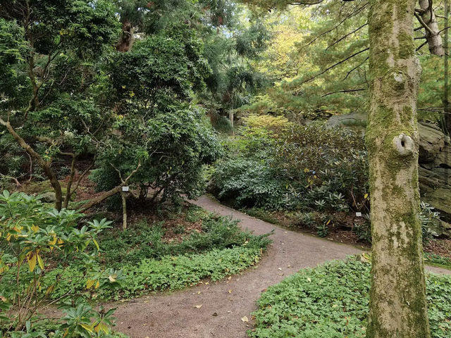 Gothenburg Botanical Garden