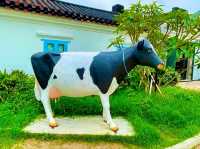 The Pokfulam Farm – Where Heritage Meets Nature